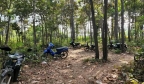 柬埔寨一赌场隐藏在森林，15名赌徒被抓