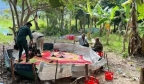 神奇柬埔寨：赌雨、赌球、斗鸡、斗鱼......花式百出