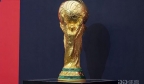 世界杯夺冠概率：巴西22%居首 西班牙法国阿根廷紧随其后