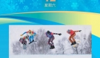 女子钢架雪车项目，中国选手将冲击奖牌！12日赛程速览→