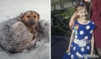 俄国10岁小女孩在暴风雪中失踪，靠着流浪狗取暖，熬过了18个小时