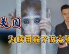 美国“处死”毒猴子真相曝光！俄前总统发出警告：中国必须防备