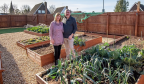 英国夫妇在自家花园种菜，一年后竟收到几百英镑的缴费通知
