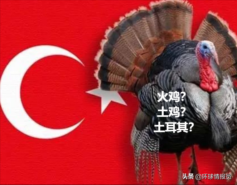 再见“土鸡”！土耳其，为什么想把英文名从Turkey改为Turkiye？