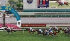 澳洲博彩公司涉嫌侵犯香港赛马知识产权