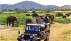 南亚最美风景线，访问斯里兰卡的10个理由