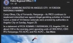 菲律宾安吉利斯市14名中国人涉非法赌博被捕