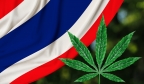 新商机来了！？泰国大麻去刑事化后已吸引12亿泰铢投资