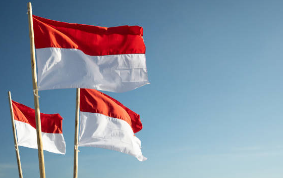 部长说，印度尼西亚将继续阻止非法赌博活动
