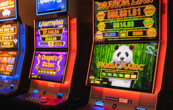 由于澳大利亚人在扑克机上损失了 7.7B 美元，因此需要赌博危害监管机构
