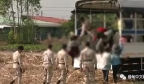 缅甸青年被当成“现代奴隶”被贩卖，惊动泰国军方