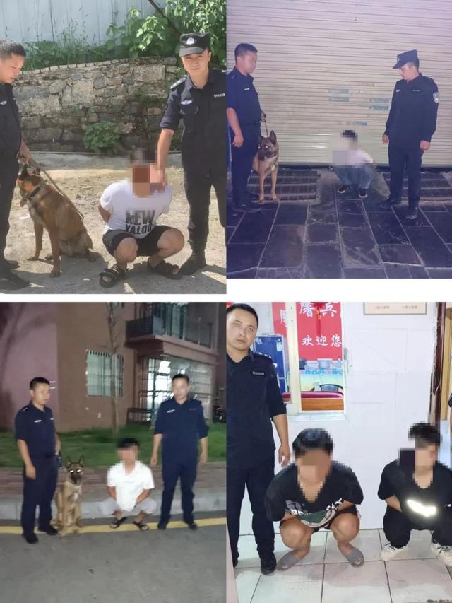 碧江警方打掉窝点3个，抓获嫌疑人6名!