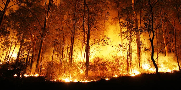 俄克拉荷马州两家赌场在持续的森林大火中撤离